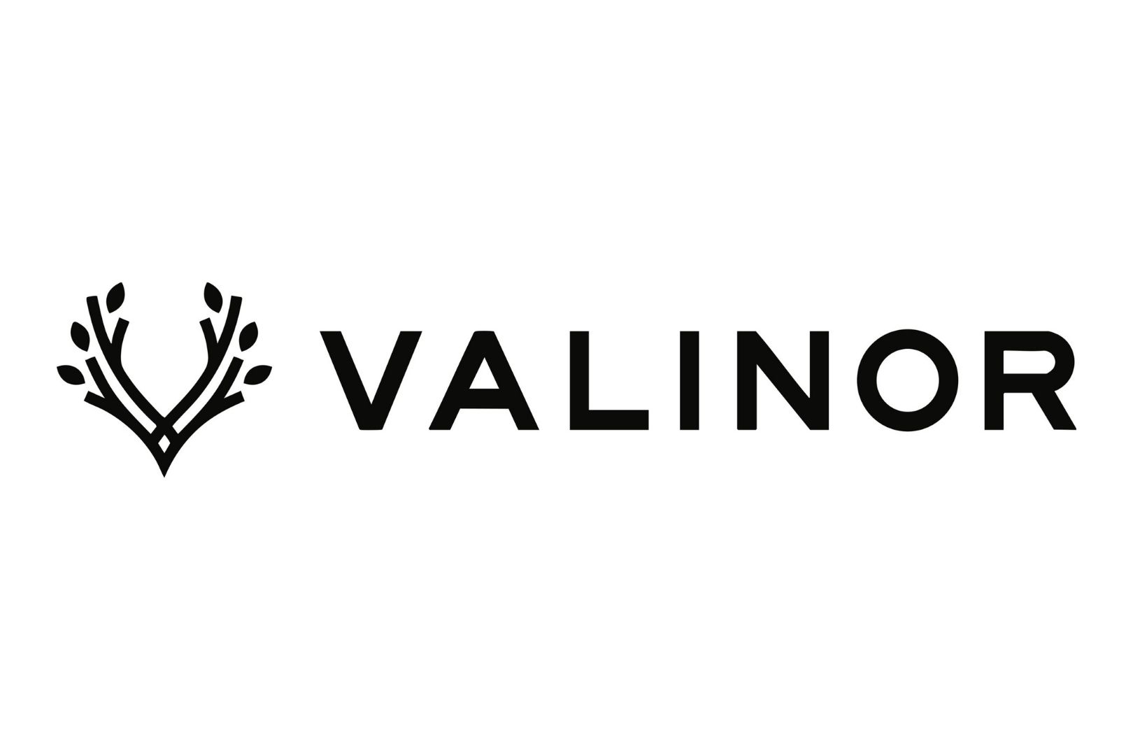 Valinor Enterprises